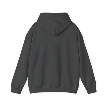 Song Soothes the Soul Hoodie