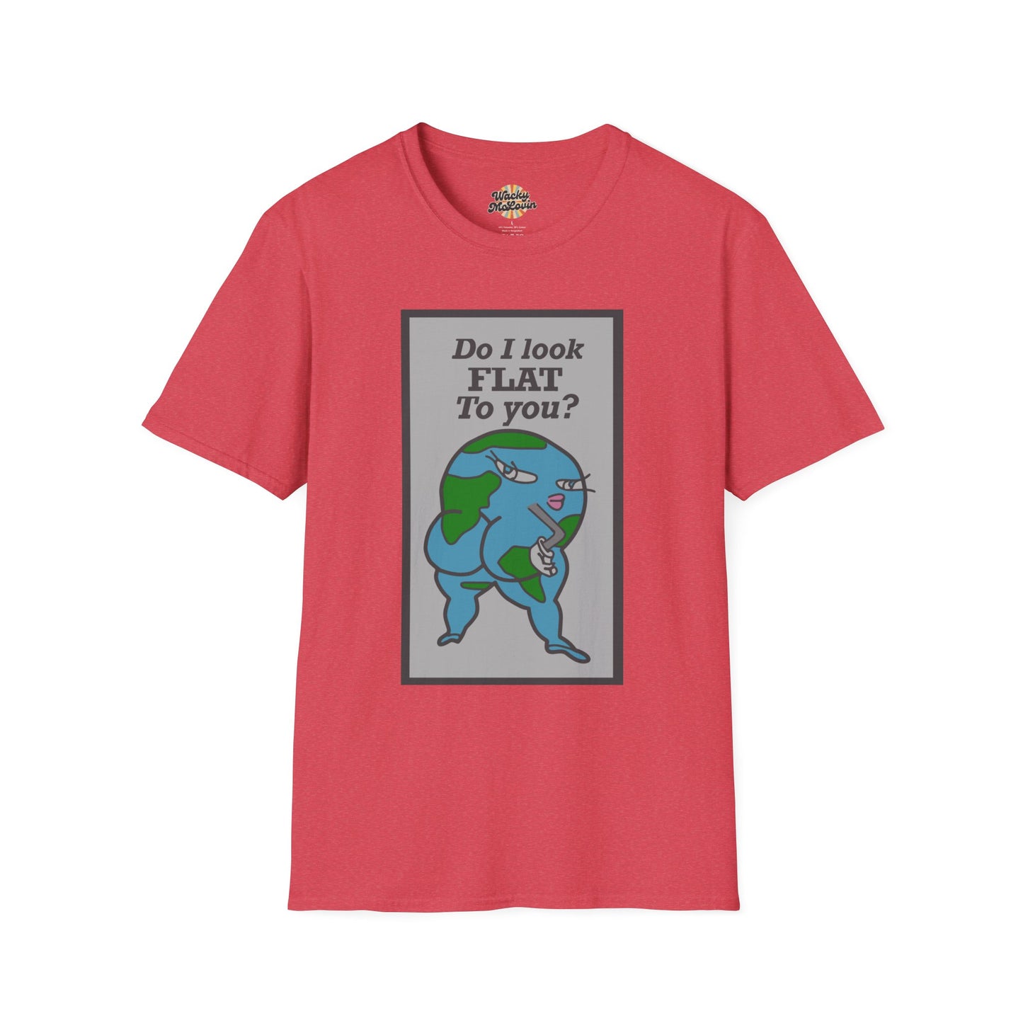 Do I Look Flat To You? Tee