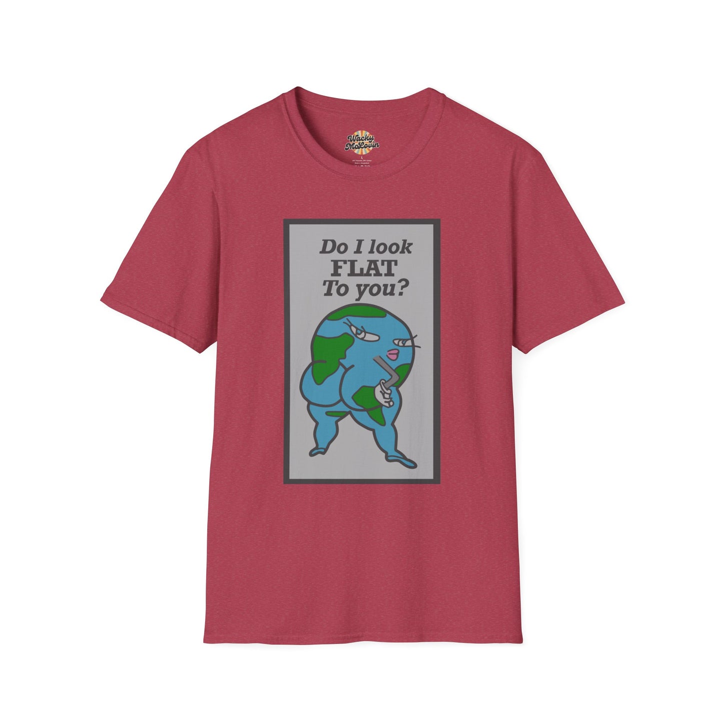 Do I Look Flat To You? Tee