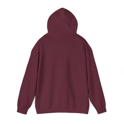 Song Soothes the Soul Hoodie