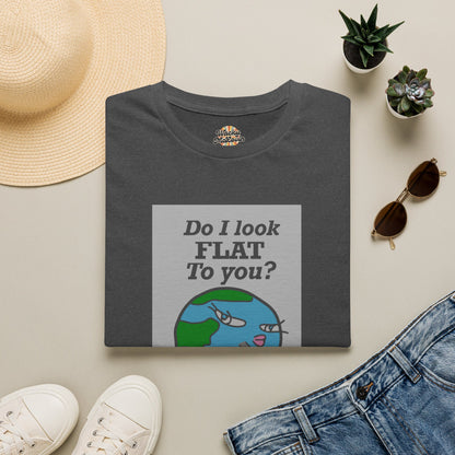 Do I Look Flat To You? Tee