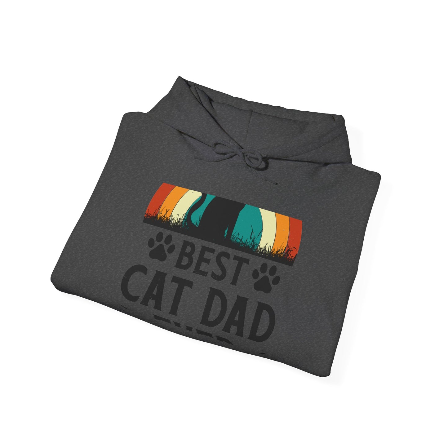 Best Cat Dad Ever Hoodie